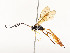  ( - CBG-A58559-A07)  @11 [ ] CreativeCommons - Attribution Share - Alike (2025) CBG Photography Group Centre for Biodiversity Genomics
