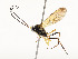  (Dusona INB-844DHJA01 - CBG-A58560-B02)  @11 [ ] CreativeCommons - Attribution Share - Alike (2025) CBG Photography Group Centre for Biodiversity Genomics