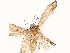  ( - CBG-A58655-H11)  @11 [ ] CreativeCommons - Attribution Share - Alike (2025) CBG Photography Group Centre for Biodiversity Genomics