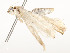  ( - CBG-A58657-C04)  @11 [ ] CreativeCommons - Attribution Share - Alike (2024) CBG Photography Group Centre for Biodiversity Genomics