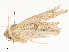  ( - CBG-A58657-E06)  @11 [ ] CreativeCommons - Attribution Share - Alike (2024) CBG Photography Group Centre for Biodiversity Genomics
