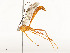  ( - CBG-A58657-F04)  @11 [ ] CreativeCommons - Attribution Share - Alike (2024) CBG Photography Group Centre for Biodiversity Genomics