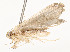  ( - CBG-A58657-F11)  @11 [ ] CreativeCommons - Attribution Share - Alike (2024) CBG Photography Group Centre for Biodiversity Genomics