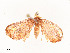  ( - CBG-A58659-E09)  @11 [ ] CreativeCommons - Attribution Share - Alike (2025) CBG Photography Group Centre for Biodiversity Genomics