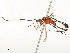  ( - CBG-A58659-G05)  @11 [ ] CreativeCommons - Attribution Share - Alike (2025) CBG Photography Group Centre for Biodiversity Genomics