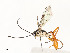 ( - CBG-A58660-C07)  @11 [ ] CreativeCommons - Attribution Share - Alike (2025) CBG Photography Group Centre for Biodiversity Genomics