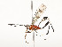  ( - CBG-A58660-F11)  @11 [ ] CreativeCommons - Attribution Share - Alike (2025) CBG Photography Group Centre for Biodiversity Genomics