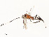  ( - CBG-A58660-H11)  @11 [ ] CreativeCommons - Attribution Share - Alike (2025) CBG Photography Group Centre for Biodiversity Genomics