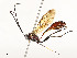  ( - CBG-A58661-B10)  @11 [ ] CreativeCommons - Attribution Share - Alike (2025) CBG Photography Group Centre for Biodiversity Genomics