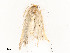  ( - CBG-A58661-E05)  @11 [ ] CreativeCommons - Attribution Share - Alike (2025) CBG Photography Group Centre for Biodiversity Genomics