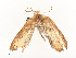  ( - CBG-A58661-E09)  @11 [ ] CreativeCommons - Attribution Share - Alike (2025) CBG Photography Group Centre for Biodiversity Genomics