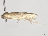  ( - CBG-A58661-E10)  @11 [ ] CreativeCommons - Attribution (2024) CBG Photography Group Centre for Biodiversity Genomics
