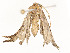  ( - CBG-A58661-F05)  @11 [ ] CreativeCommons - Attribution Share - Alike (2025) CBG Photography Group Centre for Biodiversity Genomics