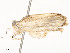  ( - CBG-A58697-C12)  @11 [ ] CreativeCommons - Attribution Share - Alike (2024) CBG Photography Group Centre for Biodiversity Genomics