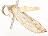  ( - CBG-A58697-D10)  @11 [ ] CreativeCommons - Attribution Share - Alike (2024) CBG Photography Group Centre for Biodiversity Genomics