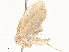  ( - CBG-A58697-E06)  @11 [ ] CreativeCommons - Attribution Share - Alike (2024) CBG Photography Group Centre for Biodiversity Genomics