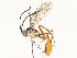  ( - CBG-A58700-E09)  @11 [ ] CreativeCommons - Attribution Share - Alike (2024) CBG Photography Group Centre for Biodiversity Genomics