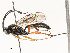  ( - CBG-A58700-E12)  @11 [ ] CreativeCommons - Attribution Share - Alike (2024) CBG Photography Group Centre for Biodiversity Genomics