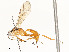  ( - CBG-A58700-G10)  @11 [ ] CreativeCommons - Attribution Share - Alike (2024) CBG Photography Group Centre for Biodiversity Genomics