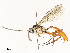  ( - CBG-A58700-G12)  @11 [ ] CreativeCommons - Attribution Share - Alike (2024) CBG Photography Group Centre for Biodiversity Genomics