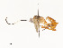  ( - CBG-A58701-B08)  @11 [ ] CreativeCommons - Attribution Share - Alike (2025) CBG Photography Group Centre for Biodiversity Genomics