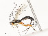  ( - CBG-A58701-C02)  @11 [ ] CreativeCommons - Attribution Share - Alike (2025) CBG Photography Group Centre for Biodiversity Genomics