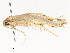  ( - CBG-A58701-H05)  @11 [ ] CreativeCommons - Attribution Share - Alike (2025) CBG Photography Group Centre for Biodiversity Genomics
