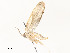  ( - CBG-A58701-H11)  @11 [ ] CreativeCommons - Attribution Share - Alike (2025) CBG Photography Group Centre for Biodiversity Genomics