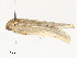  ( - CBG-A58702-A02)  @11 [ ] CreativeCommons - Attribution Share - Alike (2025) CBG Photography Group Centre for Biodiversity Genomics
