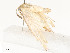  ( - CBG-A58702-B04)  @11 [ ] CreativeCommons - Attribution Share - Alike (2025) CBG Photography Group Centre for Biodiversity Genomics