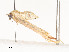  ( - CBG-A58702-D01)  @11 [ ] CreativeCommons - Attribution Share - Alike (2025) CBG Photography Group Centre for Biodiversity Genomics