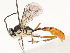  ( - CBG-A59485-E04)  @11 [ ] CreativeCommons - Attribution Share - Alike (2025) CBG Photography Group Centre for Biodiversity Genomics