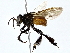  ( - BIOUG64427-C10)  @11 [ ] CreativeCommons - Attribution (2022) CBG Photography Group Centre for Biodiversity Genomics