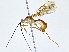  ( - BIOUG64427-G12)  @11 [ ] CreativeCommons - Attribution (2022) CBG Photography Group Centre for Biodiversity Genomics