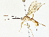  ( - BIOUG64427-H01)  @11 [ ] CreativeCommons - Attribution (2022) CBG Photography Group Centre for Biodiversity Genomics