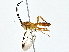  ( - BIOUG64428-C05)  @11 [ ] CreativeCommons - Attribution (2022) CBG Photography Group Centre for Biodiversity Genomics