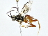  ( - BIOUG64428-D06)  @11 [ ] CreativeCommons - Attribution (2022) CBG Photography Group Centre for Biodiversity Genomics