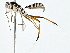  ( - BIOUG64428-E03)  @11 [ ] CreativeCommons - Attribution (2022) CBG Photography Group Centre for Biodiversity Genomics