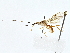  ( - BIOUG64429-C07)  @11 [ ] CreativeCommons - Attribution (2022) CBG Photography Group Centre for Biodiversity Genomics
