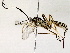  ( - BIOUG73030-B04)  @11 [ ] CreativeCommons - Attribution (2022) CBG Photography Group Centre for Biodiversity Genomics