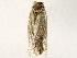  ( - BIOUG73030-B06)  @11 [ ] CreativeCommons - Attribution (2022) CBG Photography Group Centre for Biodiversity Genomics