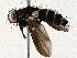  ( - BIOUG73030-D03)  @11 [ ] CreativeCommons - Attribution (2022) CBG Photography Group Centre for Biodiversity Genomics