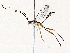  ( - BIOUG73030-D10)  @11 [ ] CreativeCommons - Attribution (2022) CBG Photography Group Centre for Biodiversity Genomics