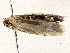  ( - BIOUG73030-E04)  @11 [ ] CreativeCommons - Attribution (2022) CBG Photography Group Centre for Biodiversity Genomics