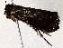  ( - BIOUG73031-C06)  @11 [ ] CreativeCommons - Attribution (2022) CBG Photography Group Centre for Biodiversity Genomics