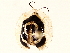  ( - BIOUG73031-D10)  @11 [ ] CreativeCommons - Attribution (2022) CBG Photography Group Centre for Biodiversity Genomics