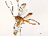  ( - BIOUG73031-E02)  @11 [ ] CreativeCommons - Attribution (2022) CBG Photography Group Centre for Biodiversity Genomics