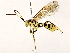  ( - BIOUG73031-E05)  @11 [ ] CreativeCommons - Attribution (2022) CBG Photography Group Centre for Biodiversity Genomics