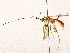  ( - BIOUG73031-F05)  @11 [ ] CreativeCommons - Attribution (2022) CBG Photography Group Centre for Biodiversity Genomics