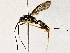  ( - BIOUG73032-B02)  @11 [ ] CreativeCommons - Attribution (2022) CBG Photography Group Centre for Biodiversity Genomics